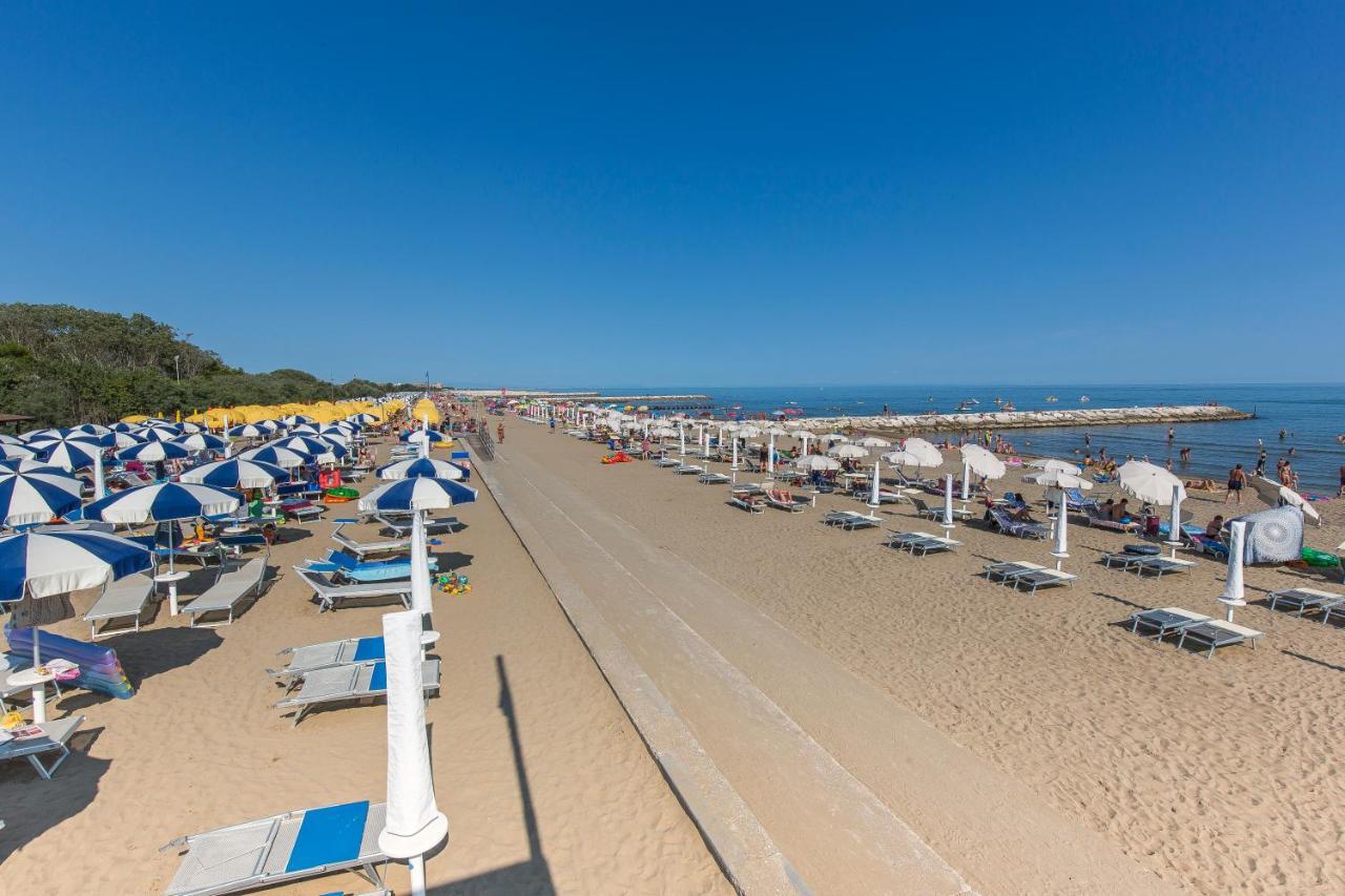 Betulle Lido Altanea *
